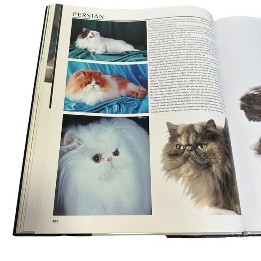 N/A interior book